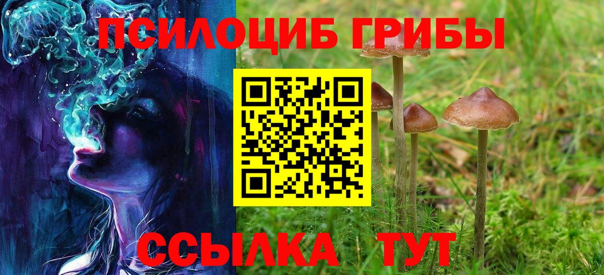 Озёры  Галлюциногенные грибы Psilocybine cubensis  Псилоцибиновые грибы Psilocybe  Вход с VPN 